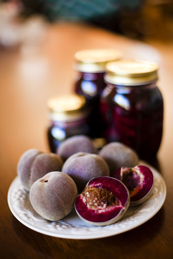 Rare "Blackboy" heirloom peaches... from my peach tree.… Flickr