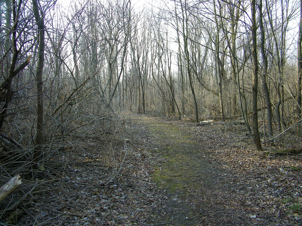 Wilderness Park (Saline, Michigan) Walk on the trails in W… Flickr