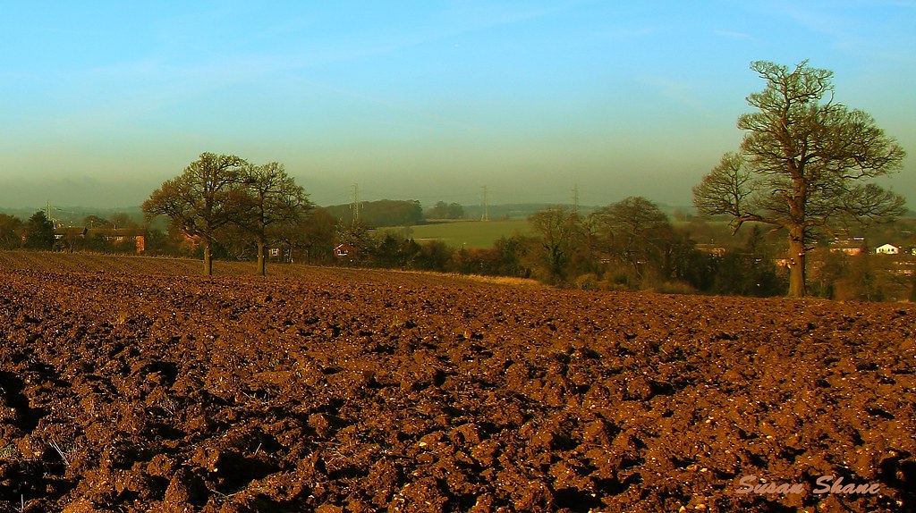 Markyate Hertfordshire Field Suerena Flickr