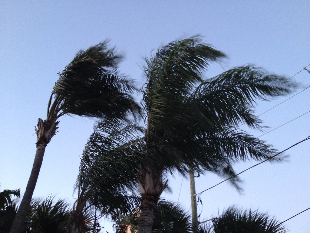 Windy in St. Pete Beach, FL earauchway Flickr