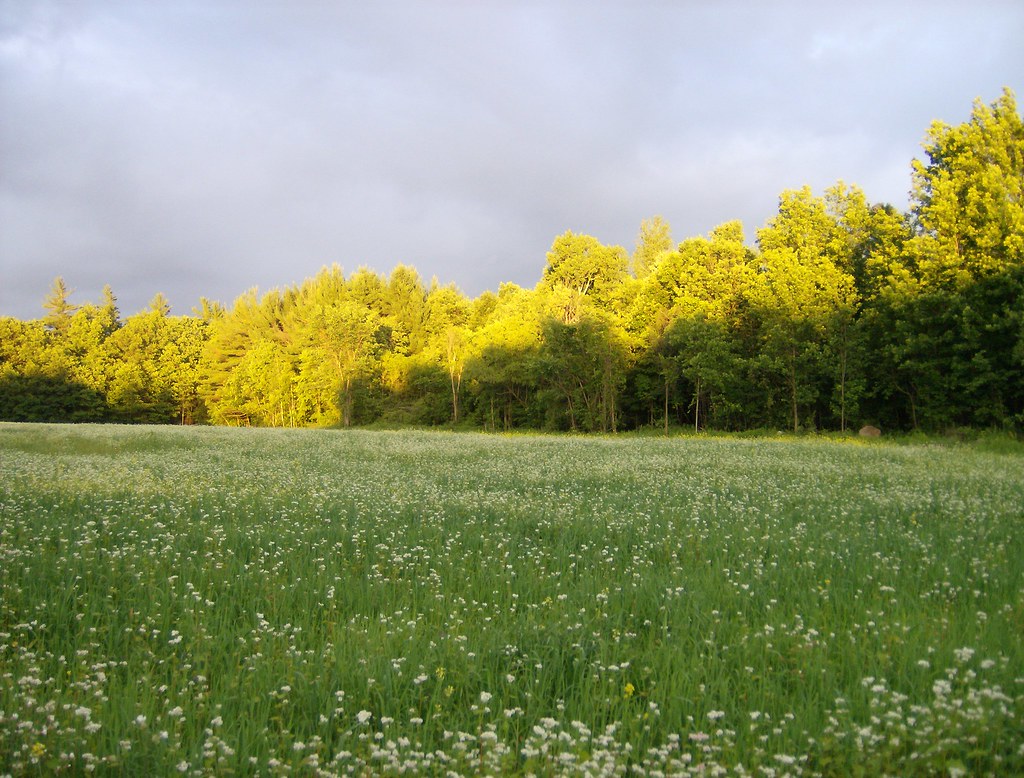 Montée Smallman, SaintAnicet, QC J0S 1L0 カナダ日の出日の入り時間