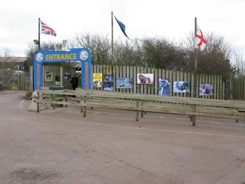 Dalton Zoo January 2011 Flickr