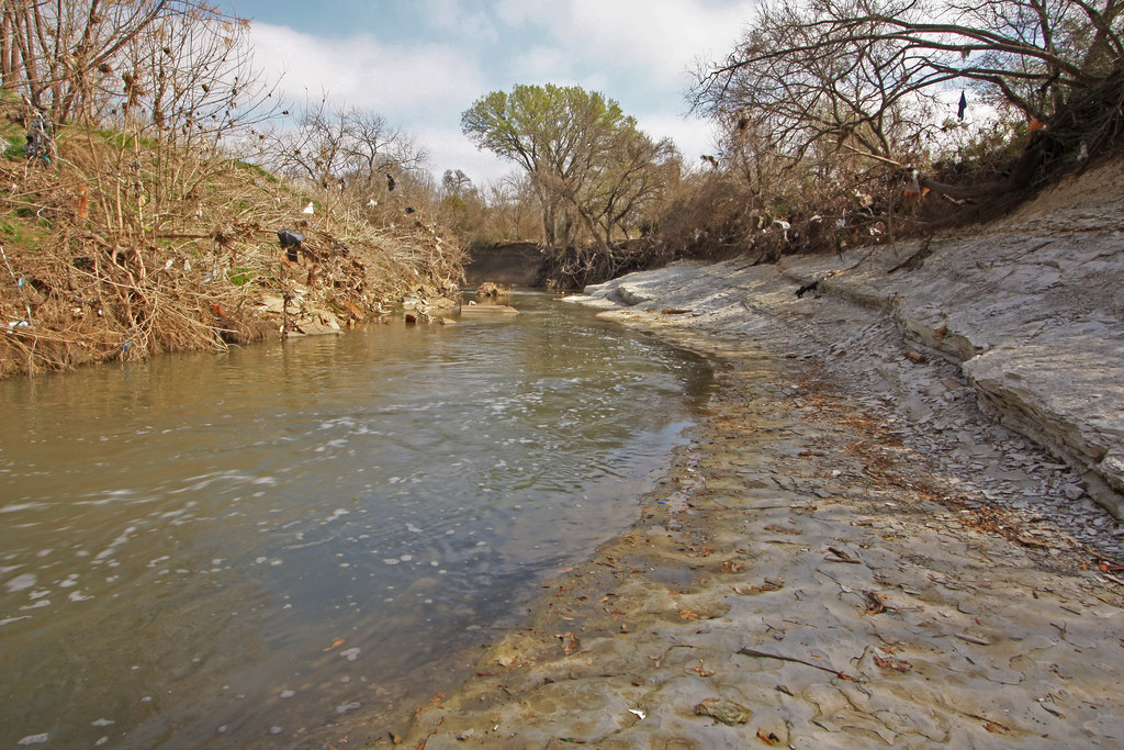 White Rock Creek, Cretaceous age, Austin Chalk, below Greenville Avenue, Harry S. Moss Park