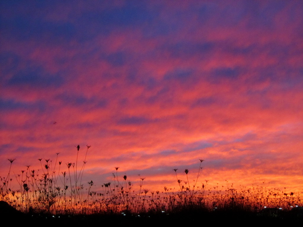 I like daylight saving time Tonight's sunset ) Rachel Kramer Flickr