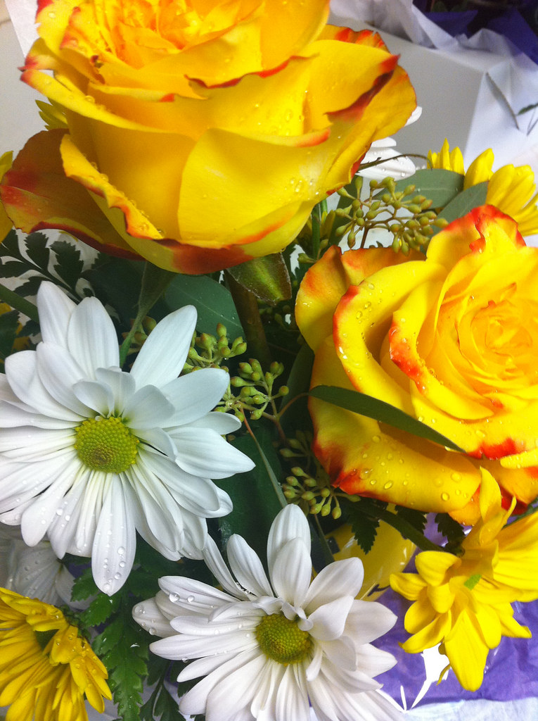 Yellow Roses and Daisies Lafayette Florist & Greenhouses… Flickr