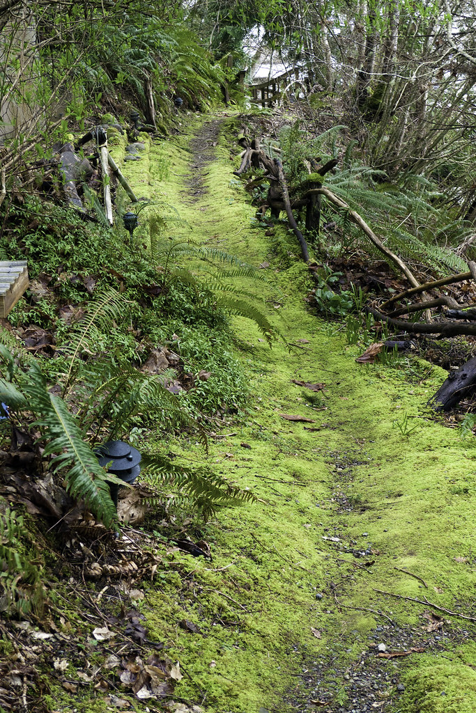 Willcox House 4path to the pier The Willcox House, now a… Flickr