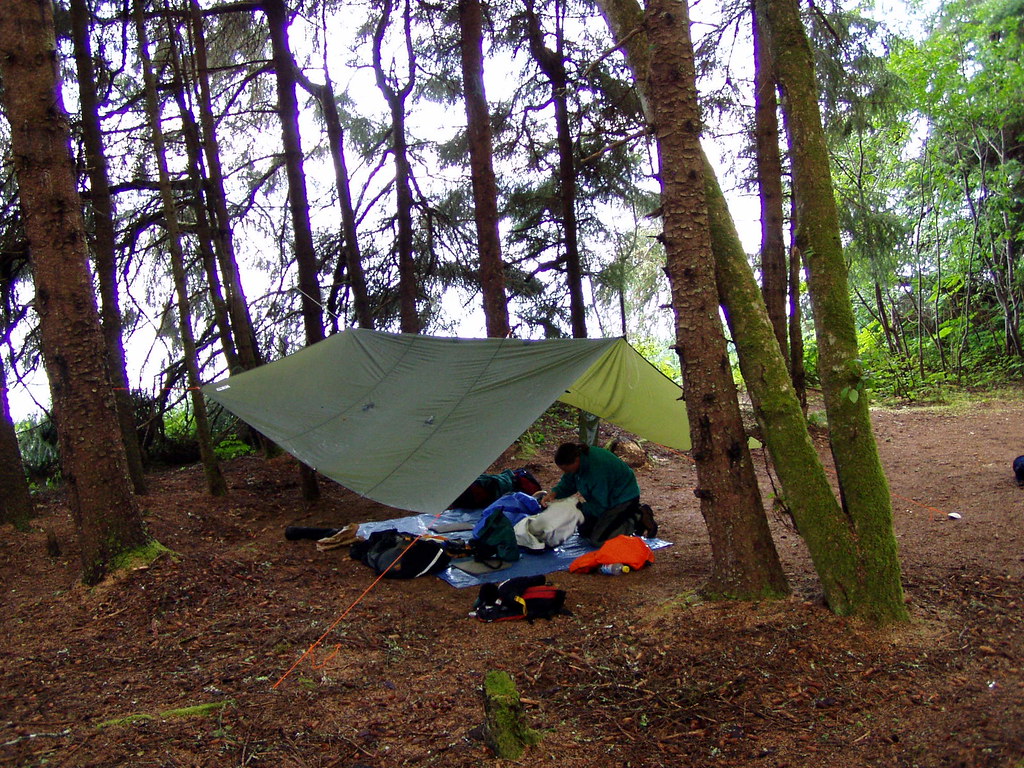Tarp camp, Southeast Alaska we most often use a tarp and b… Flickr