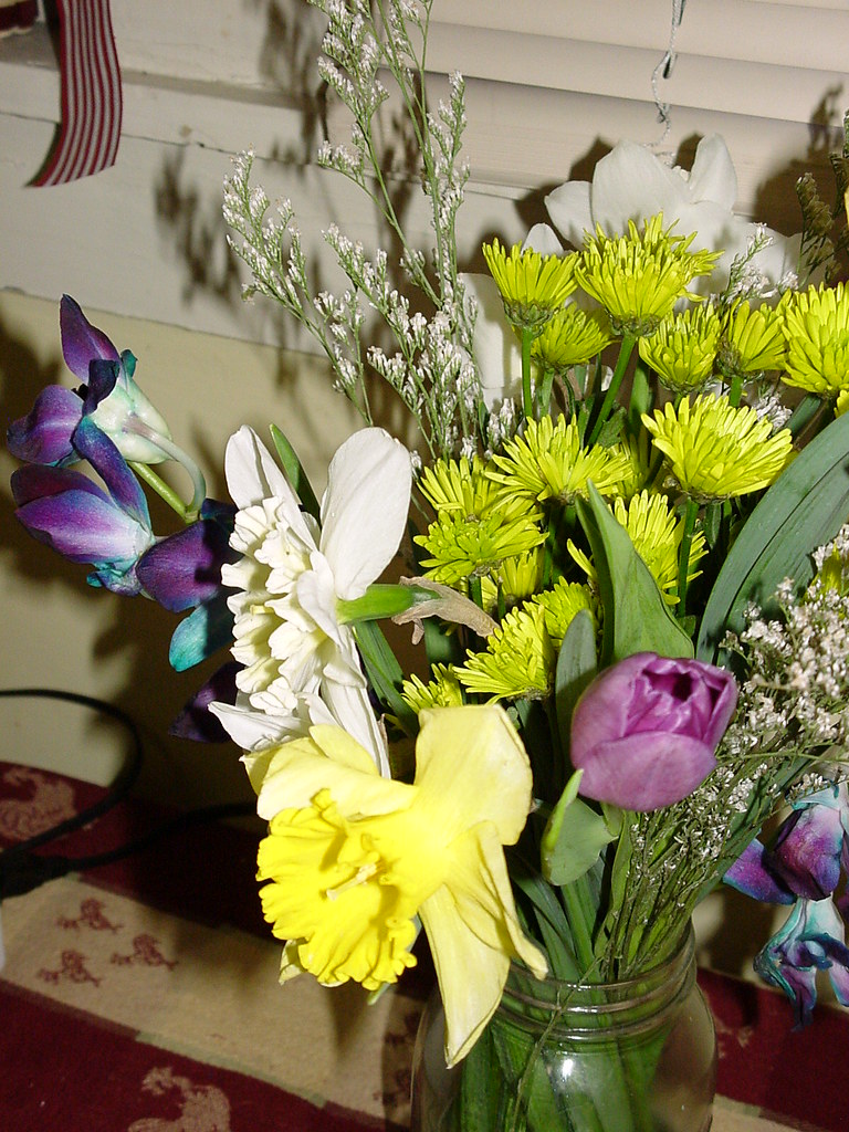 Closeup of Flowers You can see here that there's daffodil… Flickr