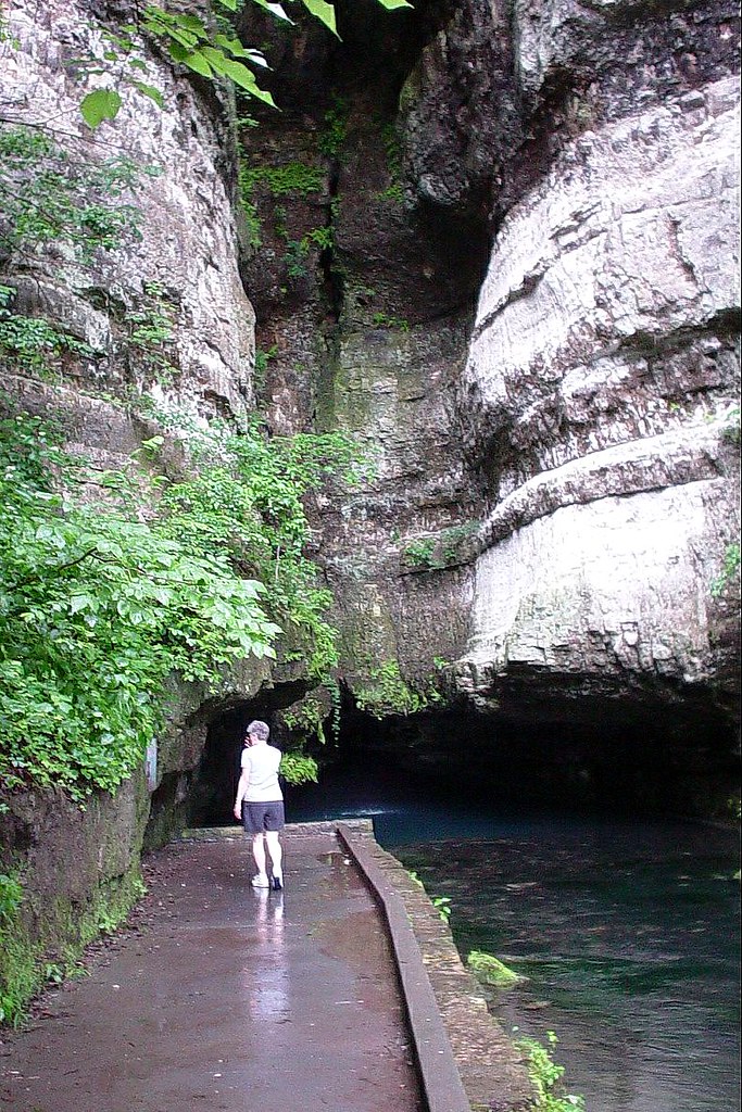 Roaring River State Park, Missouri Nearing the spring whic… Flickr