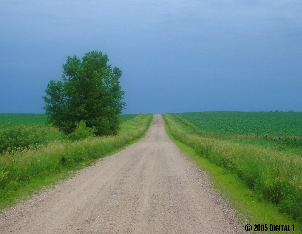 A Tree Grows in South Dakota This is not my own photograph… Flickr