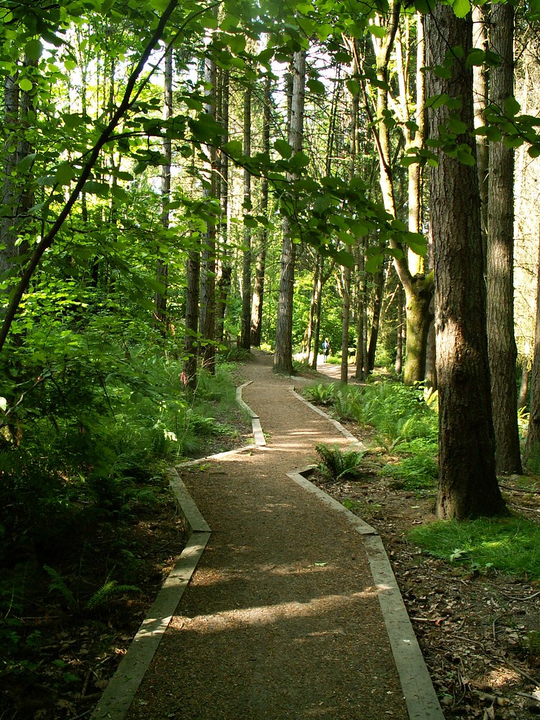 Seattle Parks Tour 2006 13 Interlaken Park Flickr