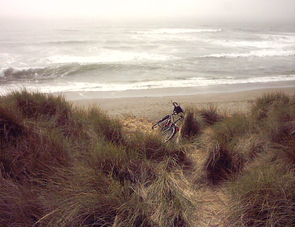 Bodega Dunes beach Bodega Bay overnight trip Carlos D Flickr