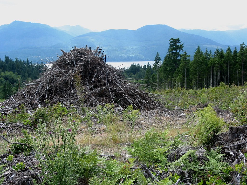 Coyle Area of Washington Peninsula We would like to live s… Flickr