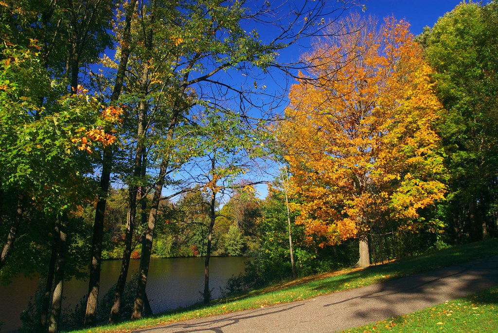 Sharon Lake Taken in Sharon Woods County Park. Sharonville… Michael