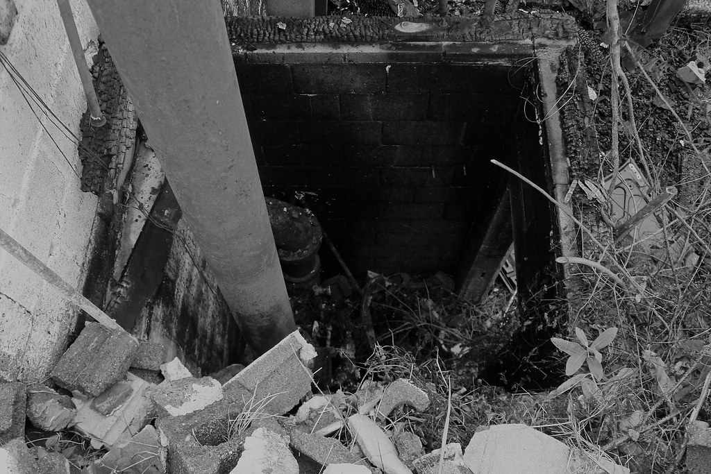 Port Norris, NJ Elise Cavicchi Flickr