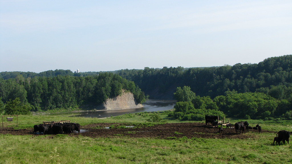SainteMonique, Québec Rivière Nicolet. Gilles Douaire Flickr