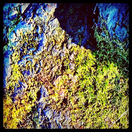 Showdown at Mossy Rock jessewestphoto Flickr