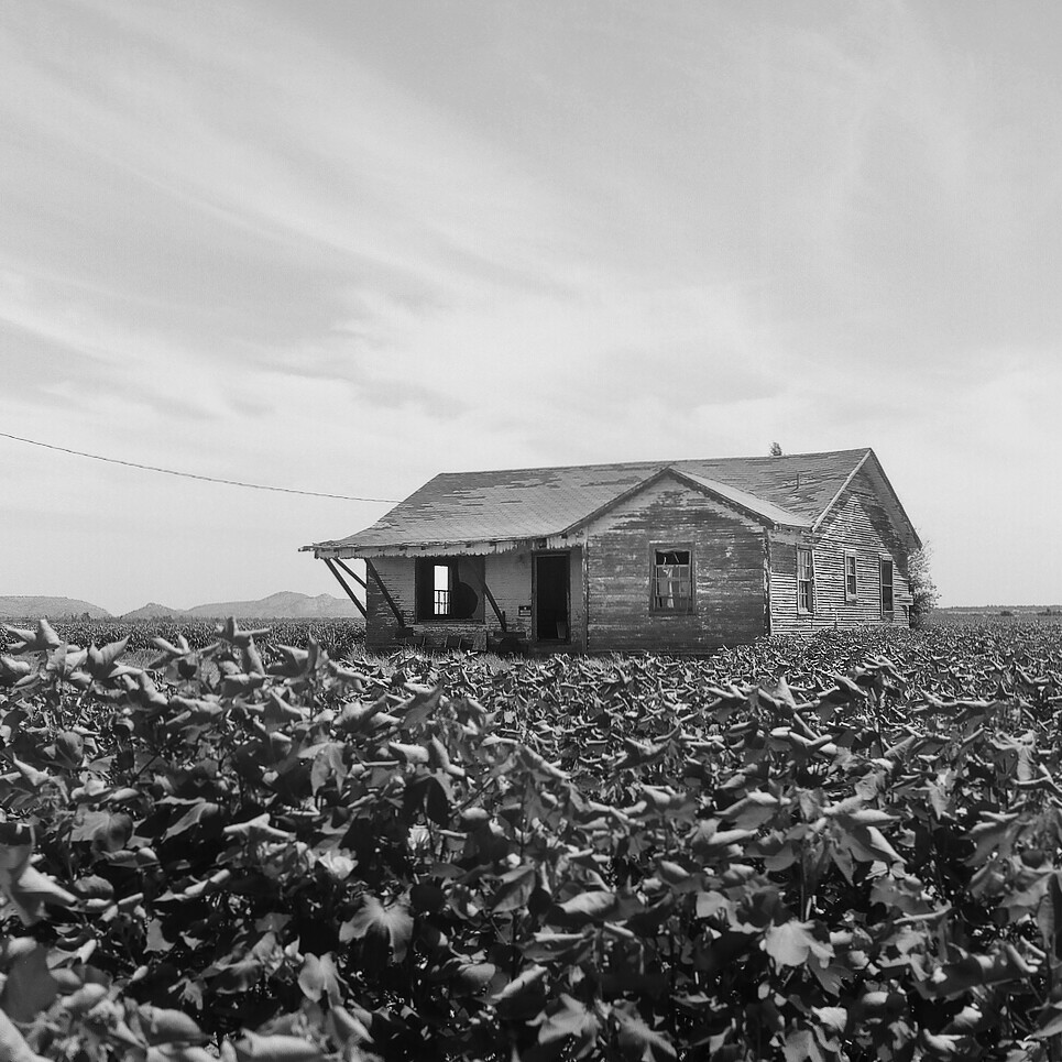 Blair, Oklahoma. 8.7.16. Yashica Mat 124G with Kodak TMax … Flickr