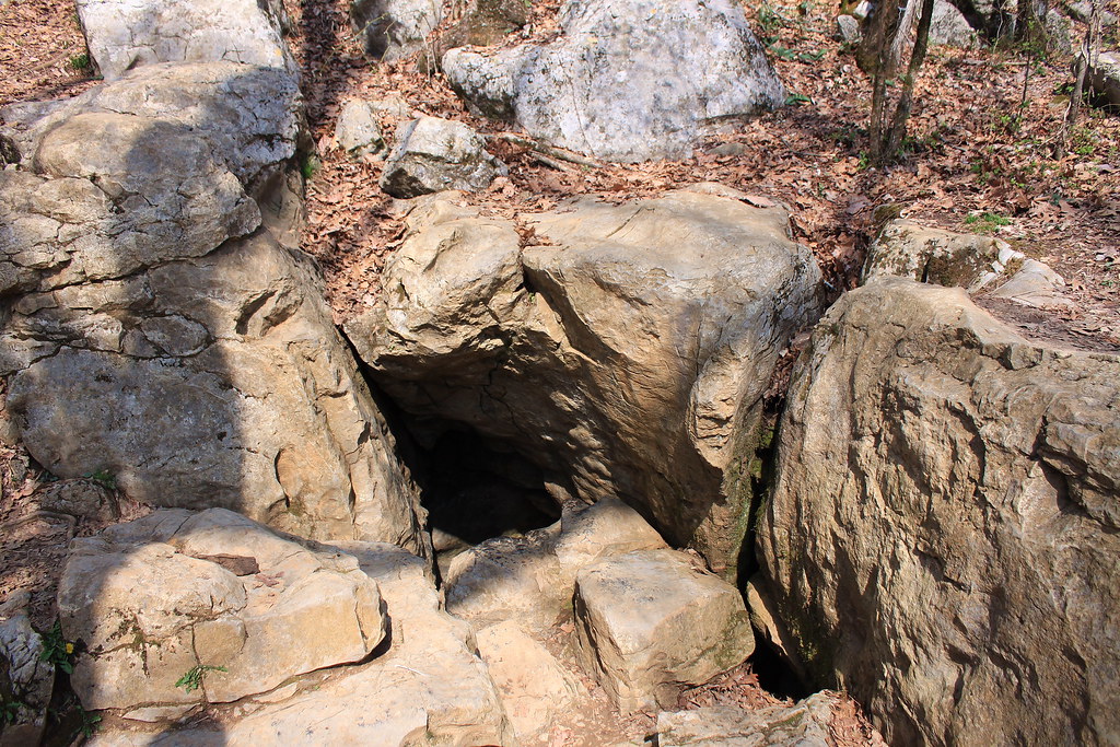 crockford pigeon mountain wildlife management area petty … Flickr