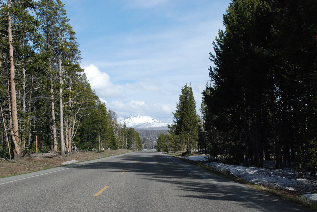 East Entrance Road near Pelican Creek Yellowstone Flickr