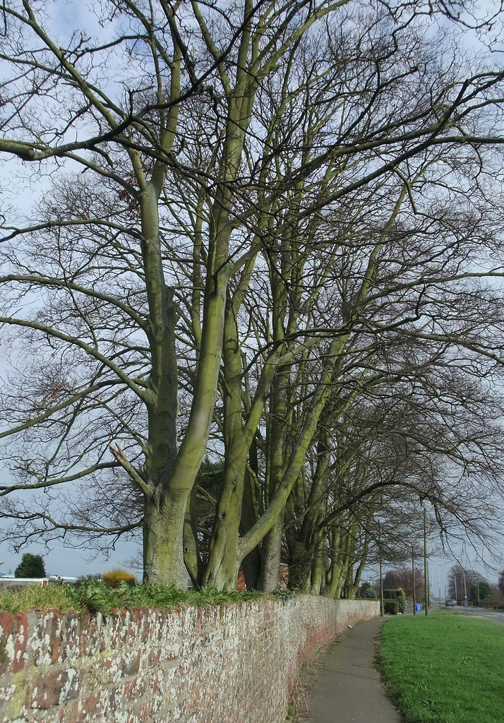 Wainfleet Road, Boston Neil Pulling Flickr