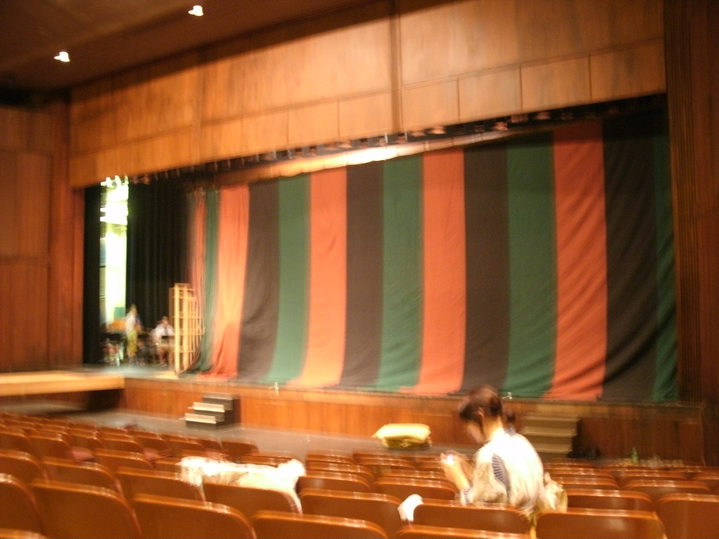 Kabuki Curtains! While we're not professionals, and inevit… Flickr
