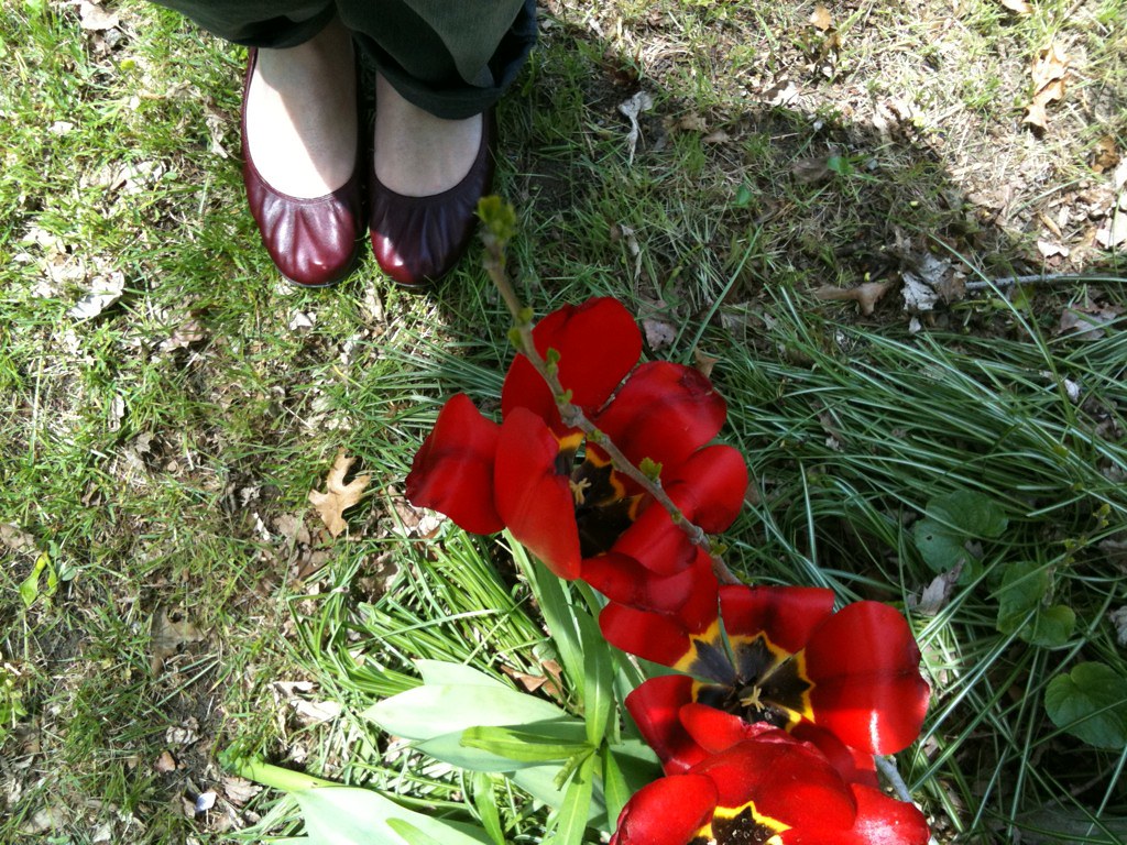 immair maroon lanvin flats & red flowers AndroGuy Flickr