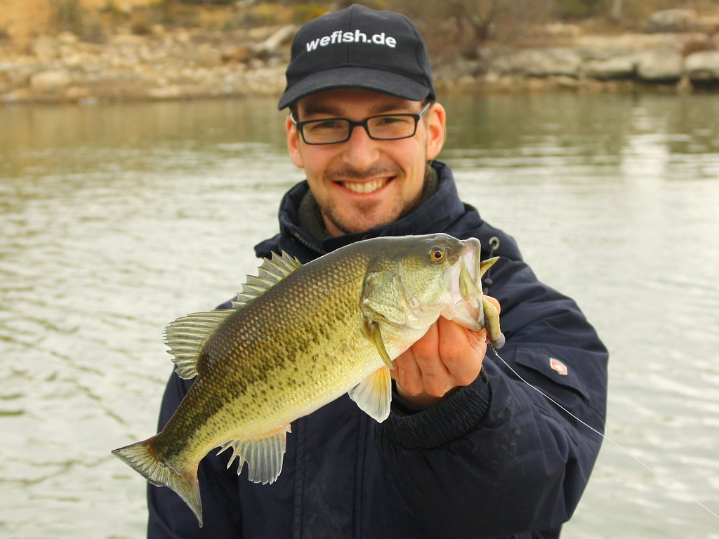 Beauty Largemouth Bass from Spain I caught this beautiful … Flickr