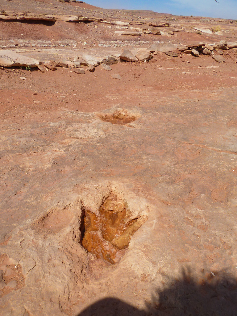 Dinosaur Tracks Tuba City, AZ j2davis2005 Flickr