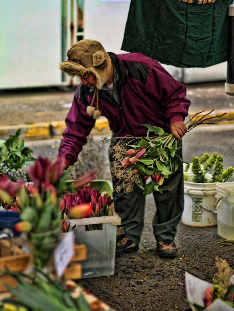 Flower Man a photo on Flickriver