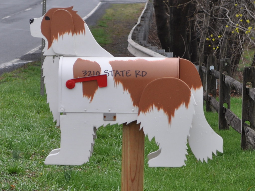 DSC_0005(1) Mailbox at Rockhill Veterinary Center. Tahokafan Flickr