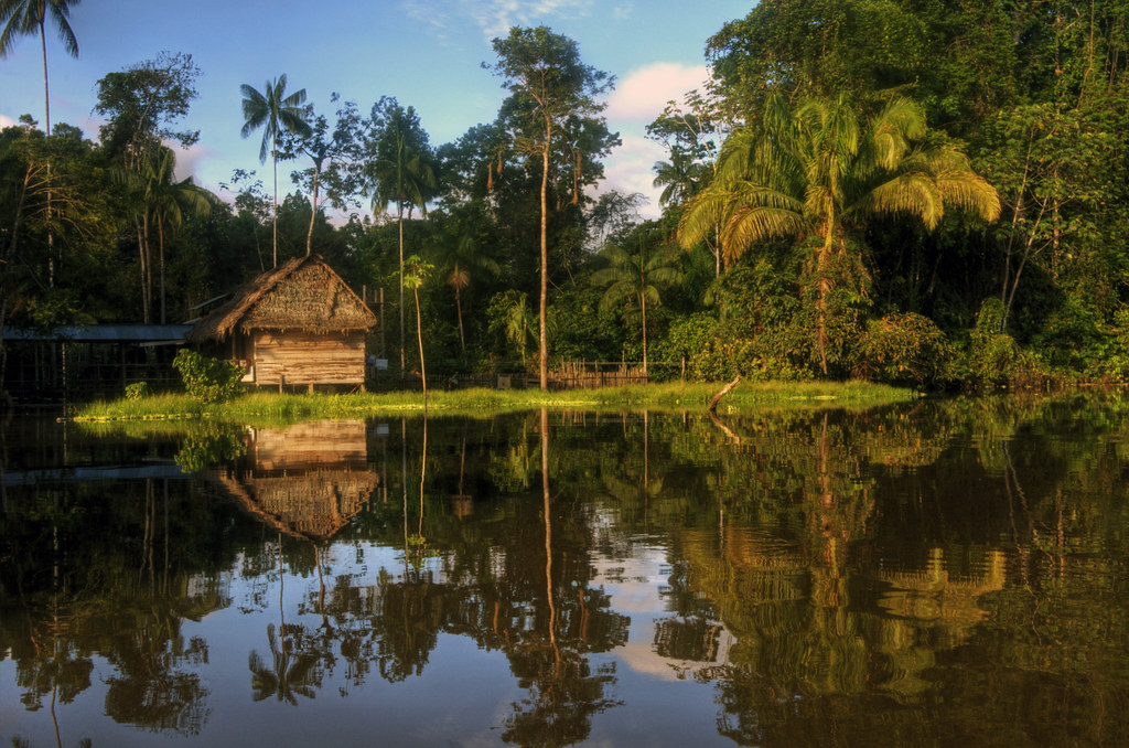 amazon river reflections mariusz kluzniak Flickr