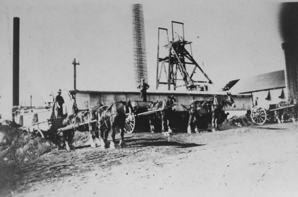 [Aberdare South Colliery, NSW, Australia] This photograph … Flickr