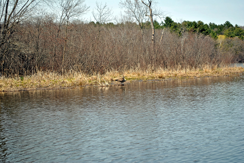 Half Moon Lake, Eau Claire, WI Aaron Carlson Flickr
