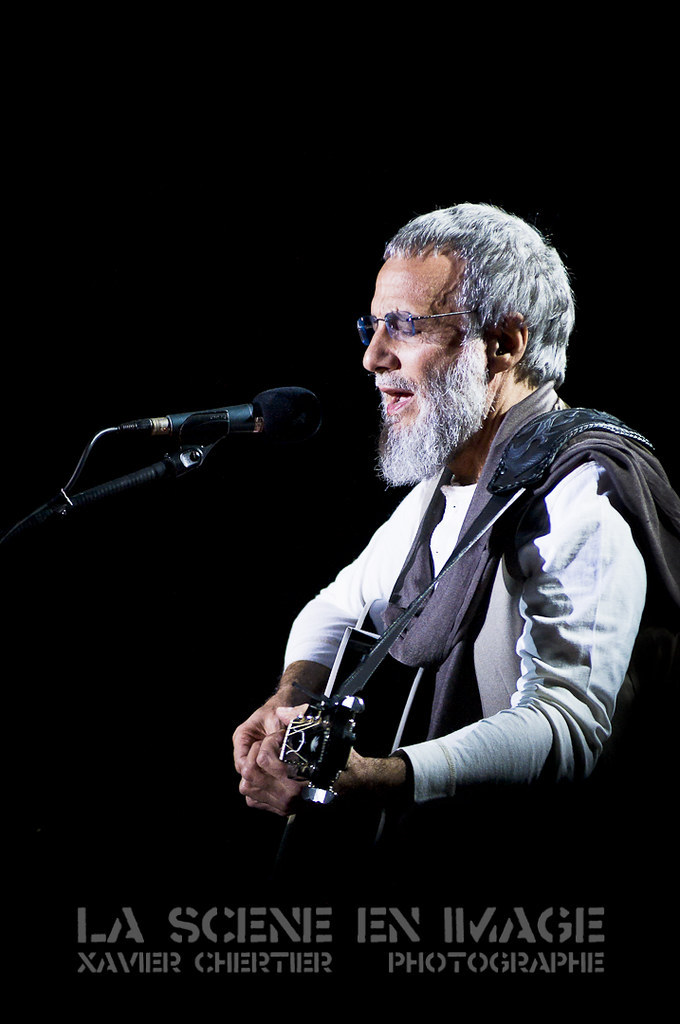 Cat Stevens Live Rabat Mawazine 2011 Copyright Xavier