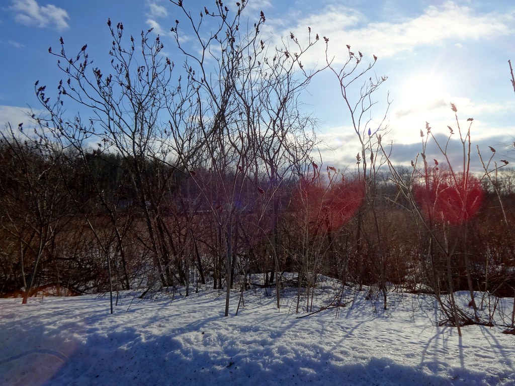Baw Beese Lake, Hillsdale Michigan Daniel X. O'Neil Flickr