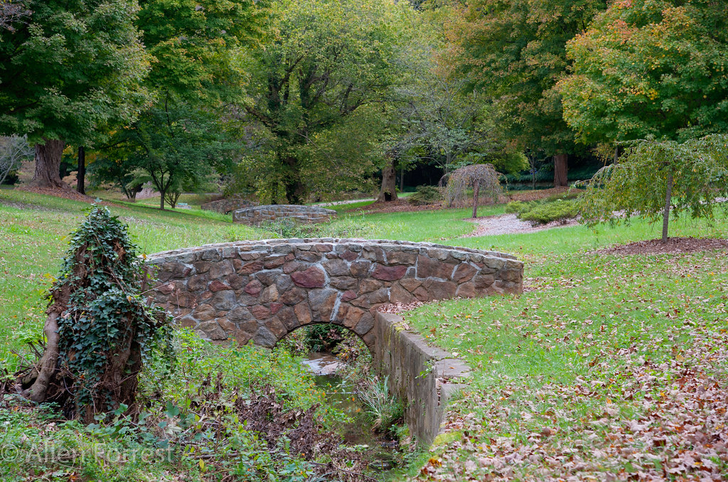 WinstonSalem Runnymede Park, WinstonSalem, North Carolin… Allen