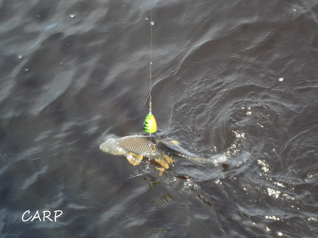 FISHING AT GRAND BEACH, MB OUCH! he got me on the back Flickr