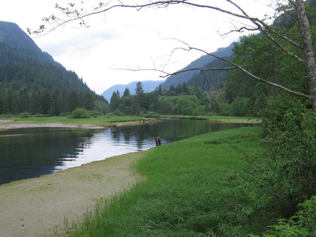 Indian River estuary Niall Williams Flickr