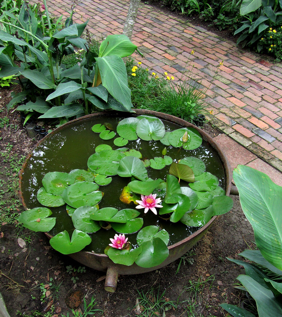 Sugar kettle, now a lily pond. Jenny Reiswig Flickr