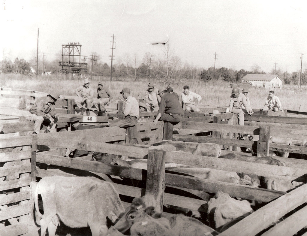 Vintage Photographs of Kirbyville, Texas Flickr