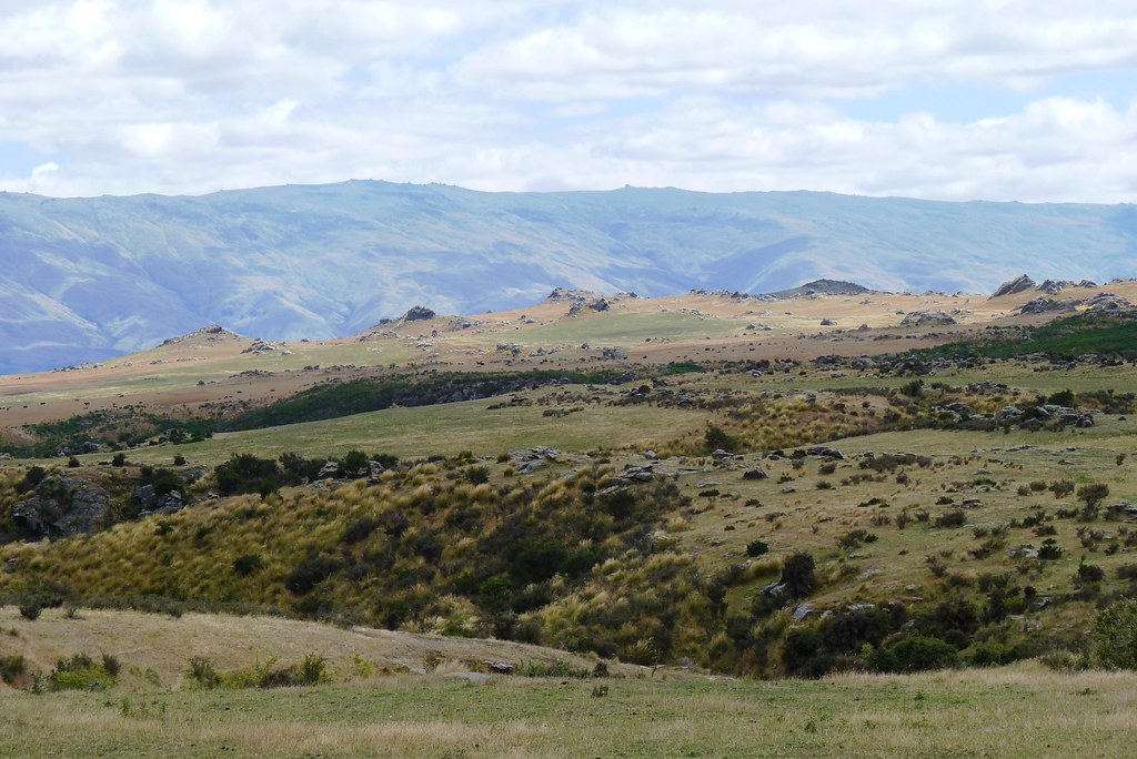 Pukerangi, New Zealand Joseph Hollick Flickr