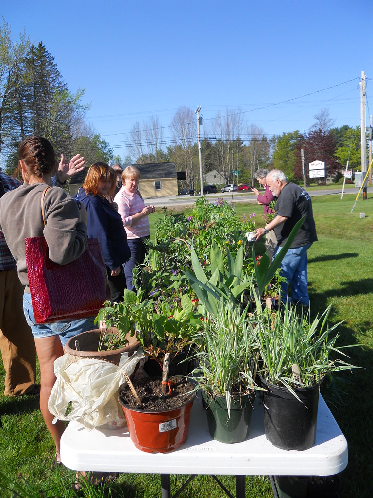 Buxton GC, Maine Buxton (Maine) Garden Club's annual plant… Flickr