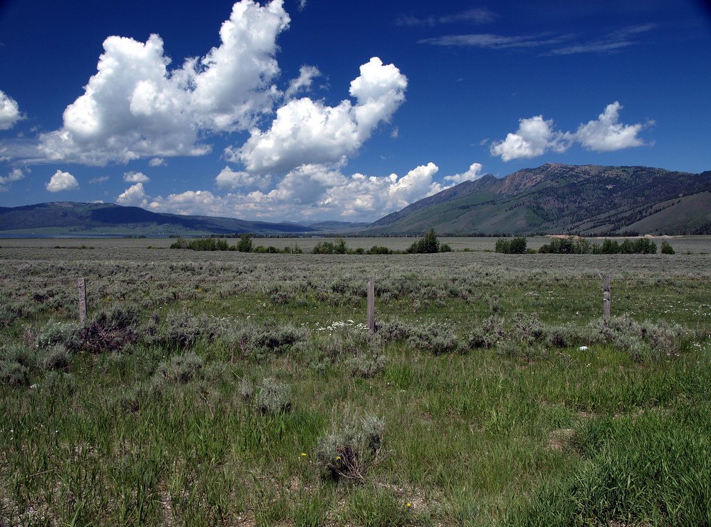 Yellowstone20090701_25 Island Park, Idaho rnoel1962 Flickr