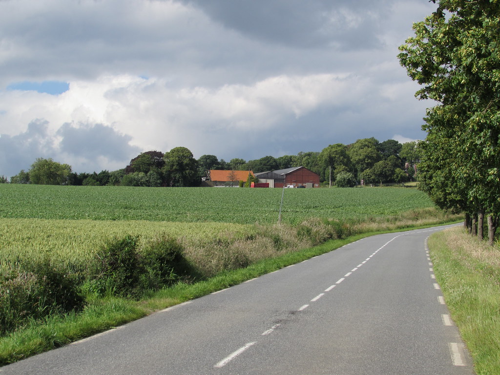 Bavinchove The road to Cassel (Nord) Michael Day Flickr