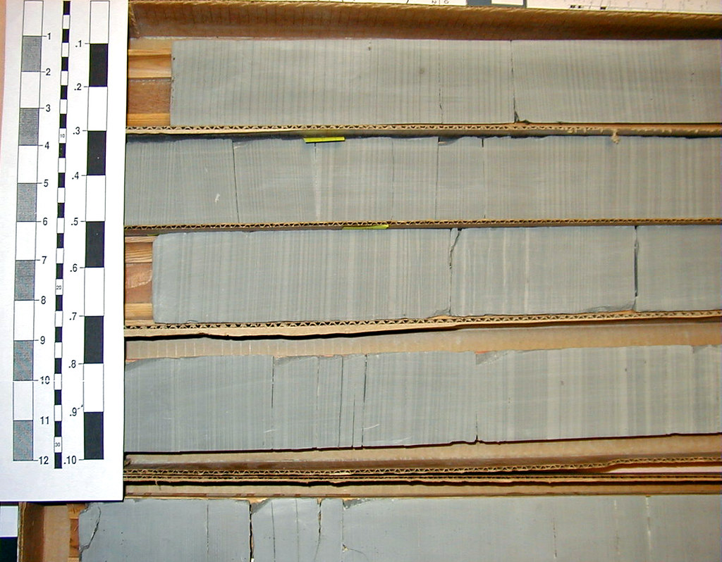 Tidalites (Francis Creek Shale, MIddle Pennsylvanian; Brai… Flickr