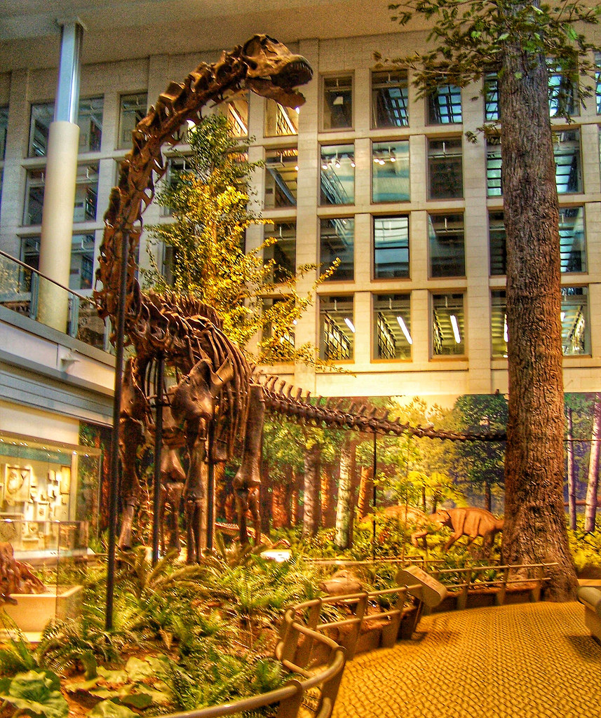 Carnegie Museum of Art Carnegie Museum of Natural Histor… Flickr