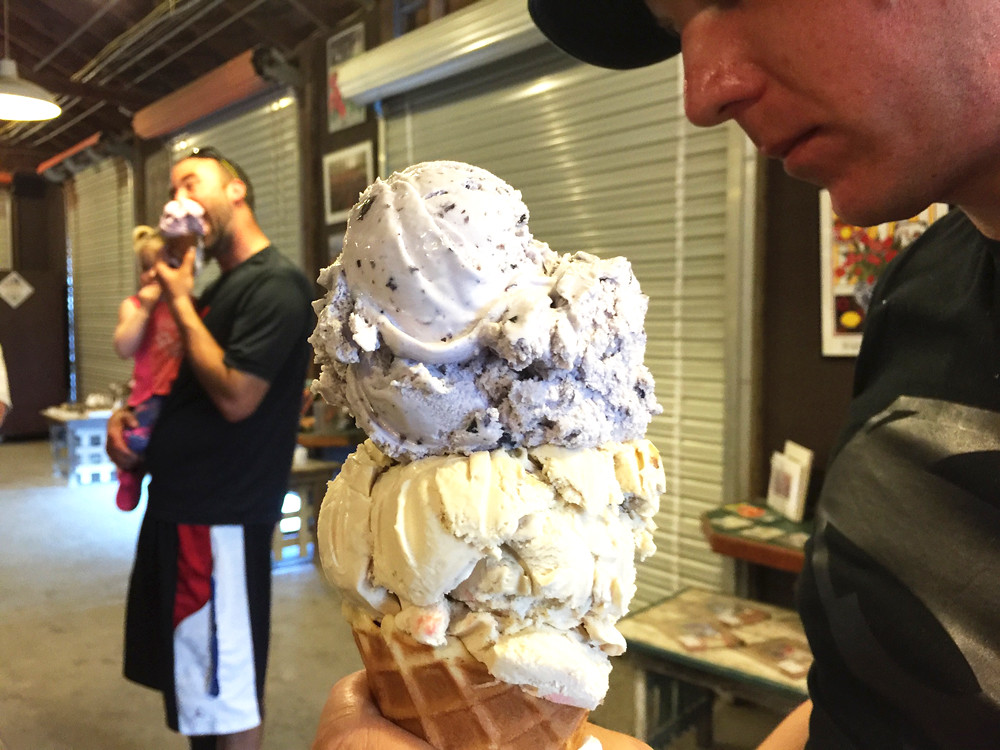 Snow Goose Produce 6 © Riho Flickr