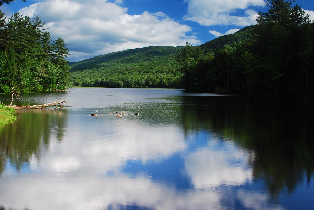 DSC_0479 Lefferts Pond Chittenden , Vt Jerry Munger Flickr