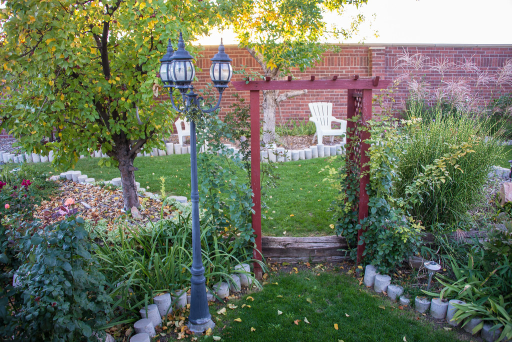 Backyard garden Westminster, Colorado, September 30, 2013 Kent